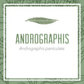 Andrographis herbal extract
