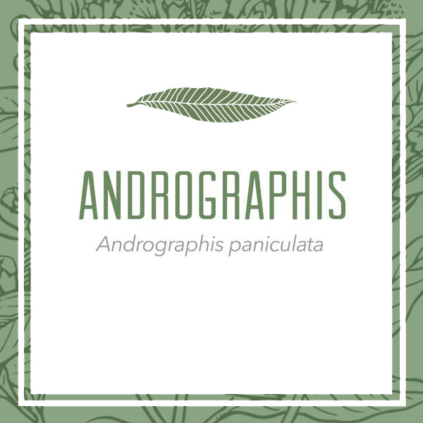 Andrographis herbal extract