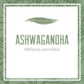 Ashwagandha herbal extract