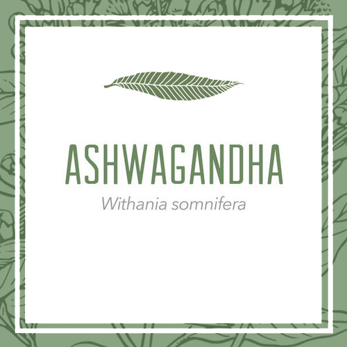 Ashwagandha herbal extract