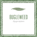 Bugleweed herbal extract