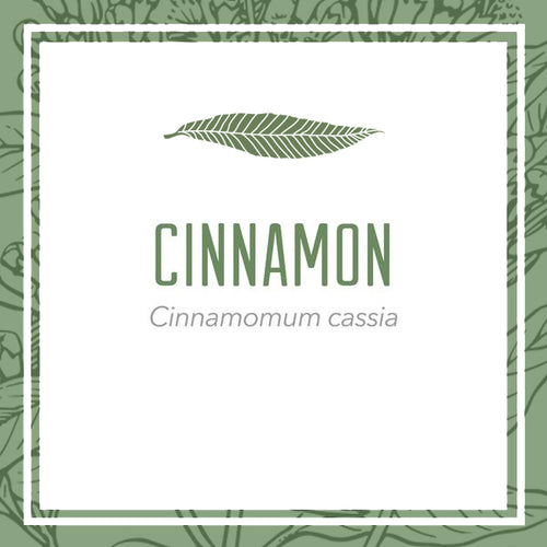 Cinnamon Bark herbal extract