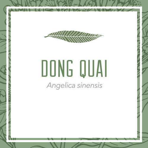 Organic Dong Quai herbal extract