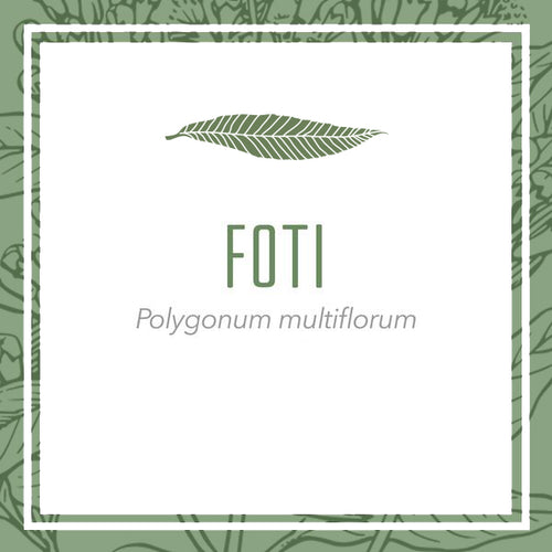 Organic Foti Root Herbal Extract (Polygonum multiflorum)
