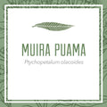 Ethically Wildcrafted Muira Puama Root Herbal Extract