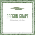 Organic Oregon Grape Root Herbal Extract (Mahonia aquifolium)