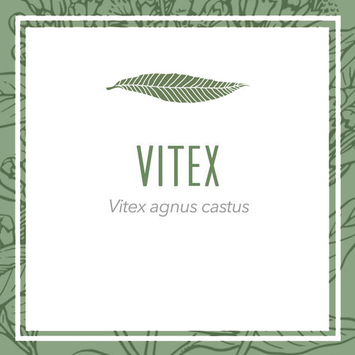 Vitex Herbal Extract (Vitex agnus castus)